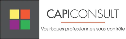 capi-consult-logo